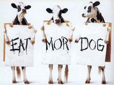 tn eat more dog