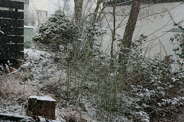 0d9ec1 Schneehoelle1
