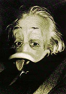 die-duckomenta-A9-albert-einstein---anku