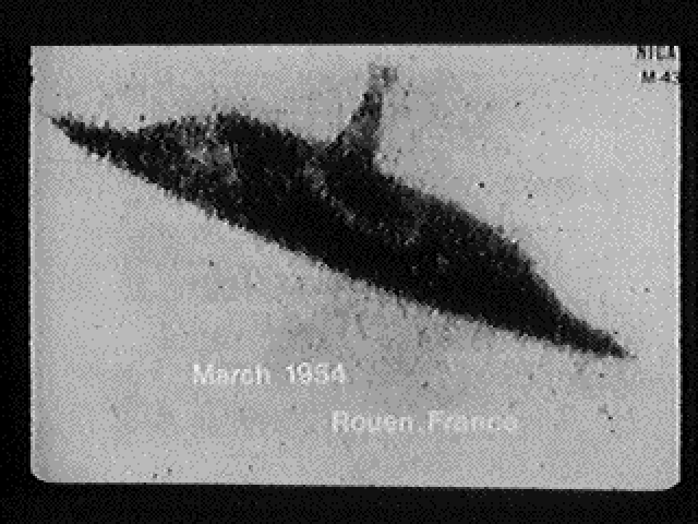 t13fa2d france 54 1