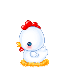 schockhuhn