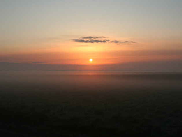 IMG 0839