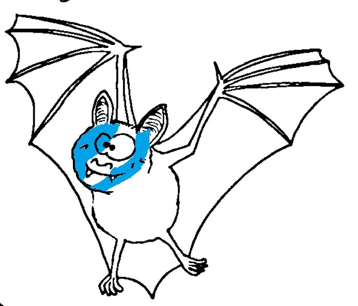 9e9ff1 Flederfunzl1
