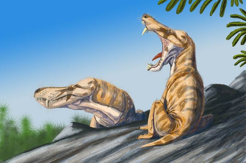 800px-Pristeroognathus DB