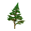 baum0066