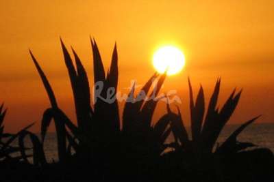 img224095 m