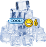 wkm4mxgccog