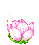 0h3q2tw809i