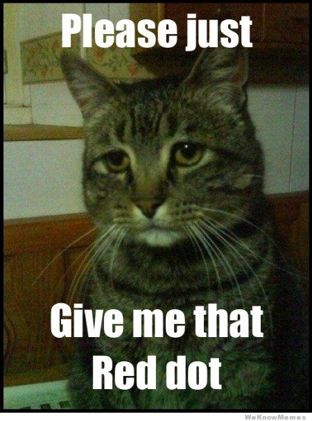 sad-cat-please-just-give-me-that-red-dot