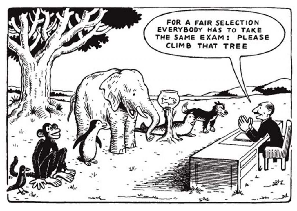 fair-exam