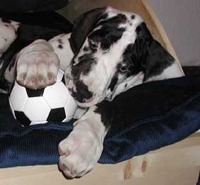 ball.earl