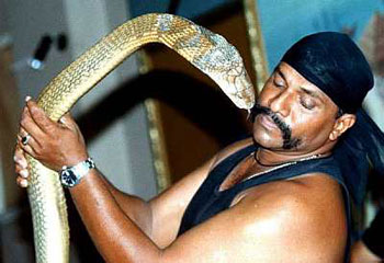 king-cobra-bite-i0