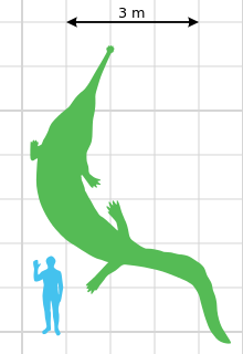 220px-Prionosuchus scale.svg