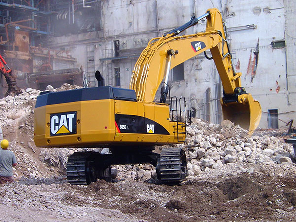 bagger-cat-365