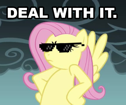 deal with it fluttershy by xenovile-d4