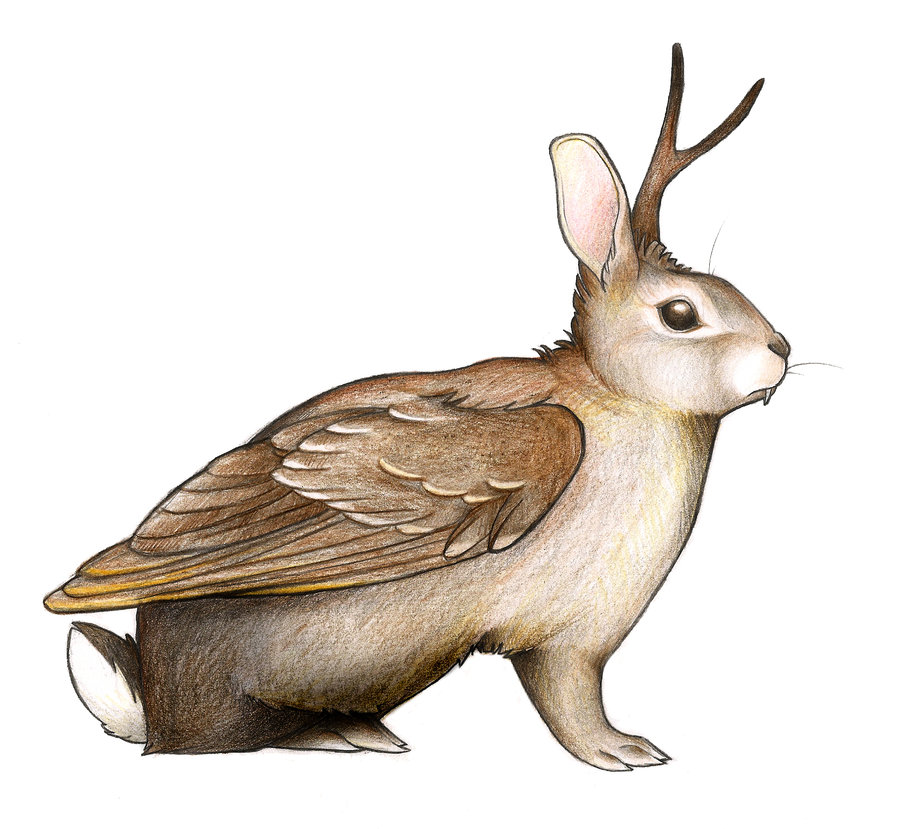 wolpertinger by obeythekiwi-d4ao7jc