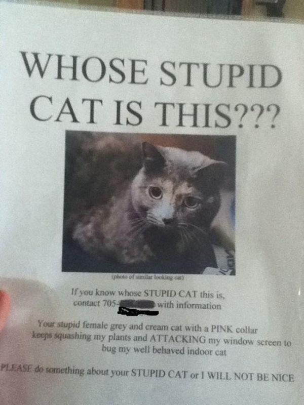 these passive aggressive notes definitel