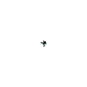 fliege