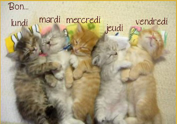 bonne semaine joliecarte1