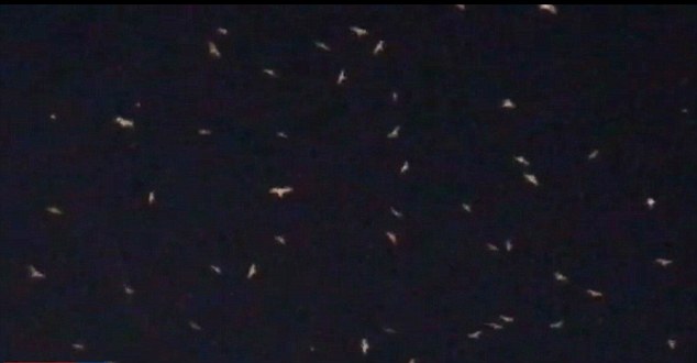 49B5F66600000578-0-image-m-61 1519939405