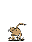 katzen-006