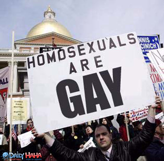 homosexuals are gay