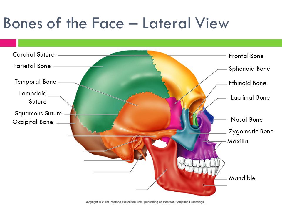 slide 21