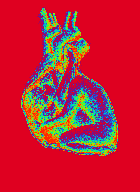 28785b heart