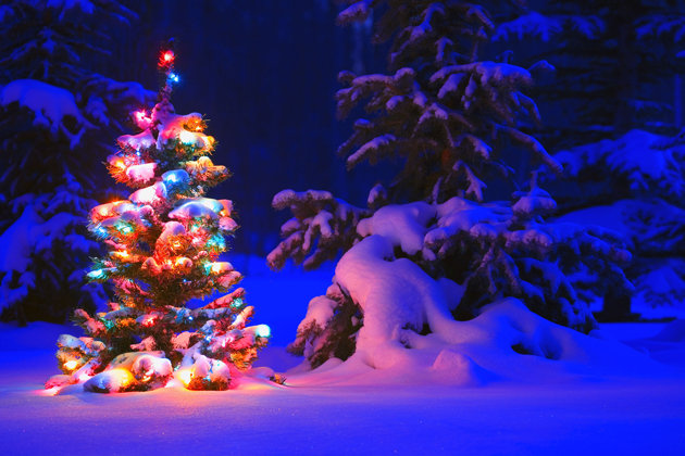 schnee-weihnachten-neu