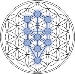 flower tree of life