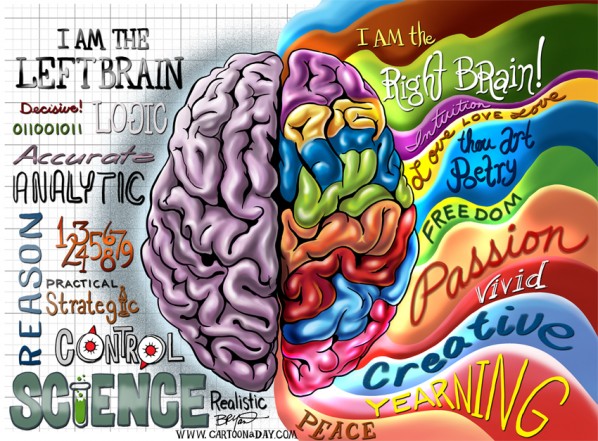 t571f56b right-brain-left-brain