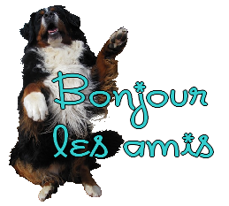 album-prive-bonjour-amis-img