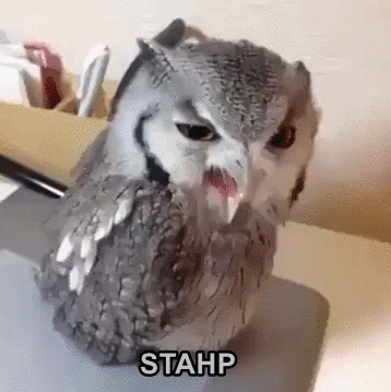 giphy