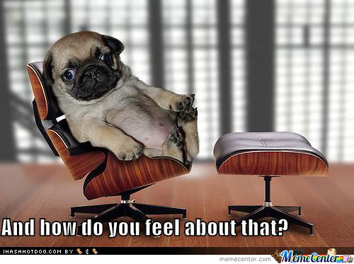 pug-psychiatrist o 253012