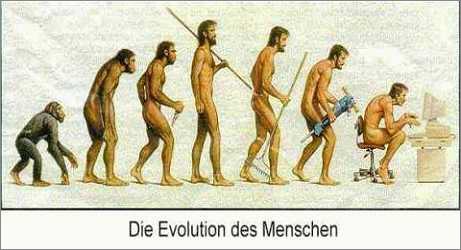 evolution 480