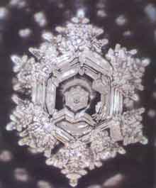 Masaru Emoto hado water foto No 1