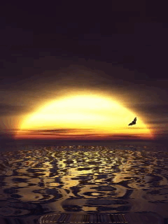 sunset yylrc6v4