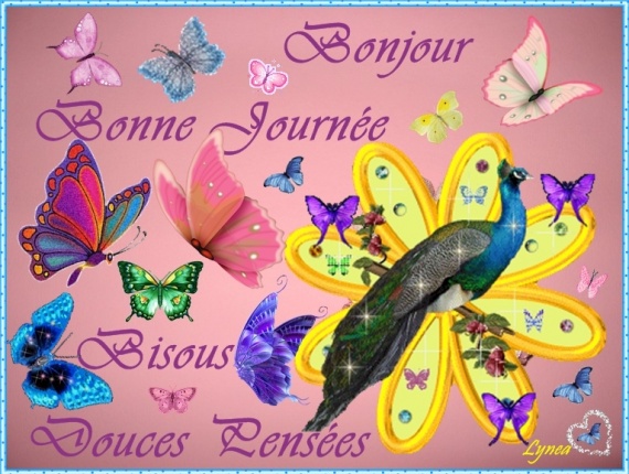 bonjour-bonjour-journee-pensees-img