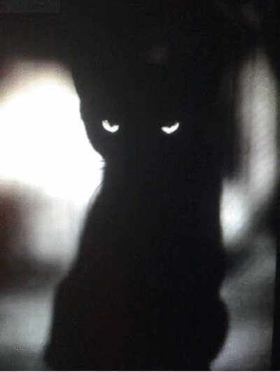 tumblr lq68zxULHf1qhrr12o1 400