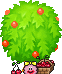 oie overlay