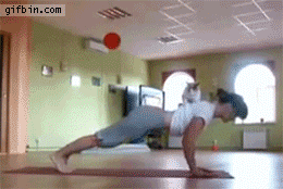 1398555688 cat joins yoga session