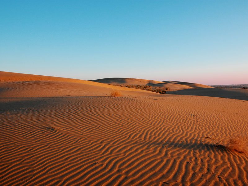 dubai wueste