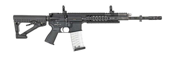 RS556 Sturmgewehr 02