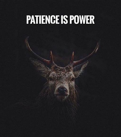 positive-quotes-patience-is-power