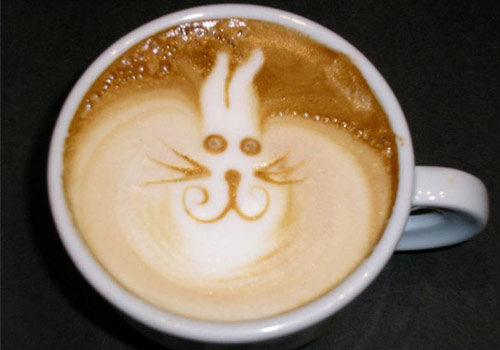 cappuccinohase