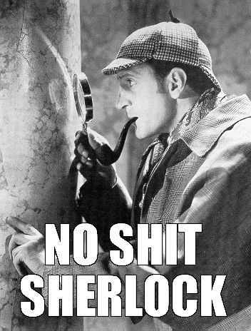 no-shit-sherlock-2
