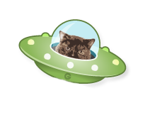 cat ufo
