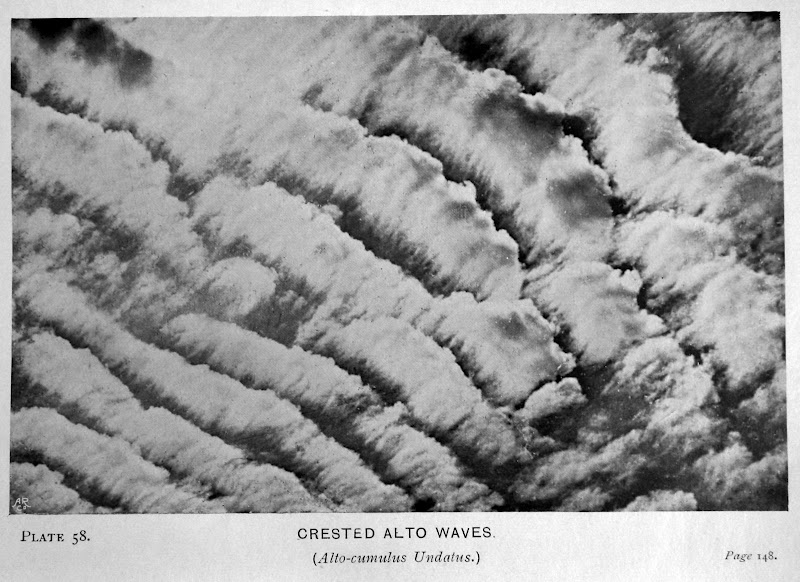 58crestedaltowavesaltkrk93