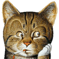 katze.gif c200