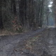 13941b DSC07678.JPG thumbnail